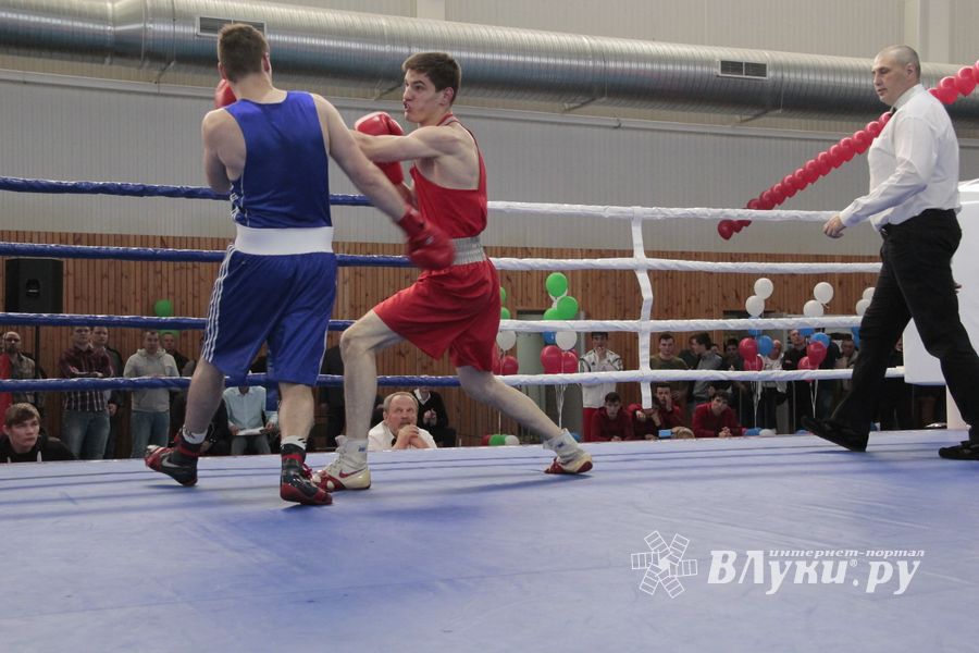 Матчевая встреча по боксу Великие Луки —Псков — Грозный (ФОТО)