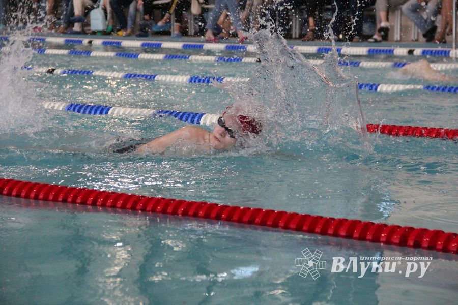 В «Айсберге» прошло Первенство города по плаванию (ФОТО)