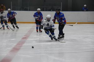 В Великих Луках прошел детский Открытый турнир по хоккею (ФОТО)