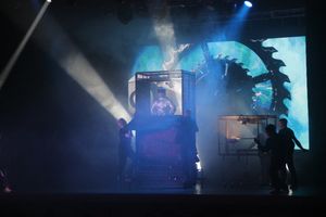 Состоялся концерт братьев Сафроновых «Империя иллюзий» (фото)