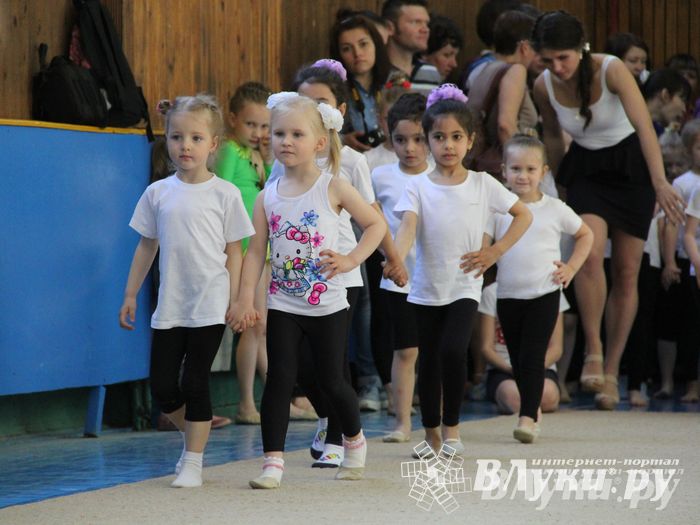 В Великих Луках прошло Первенство по художественной гимнастике (фото)