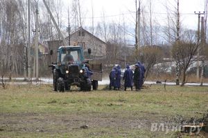 У Братского кладбища высадили новую аллею (фото)