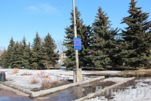 Весенний день