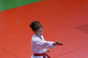 В Великих Луках прошли соревнования по каратэ (ФОТО)