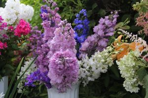 «Парад детских колясок» в День семьи, любви и верности (ФОТО)