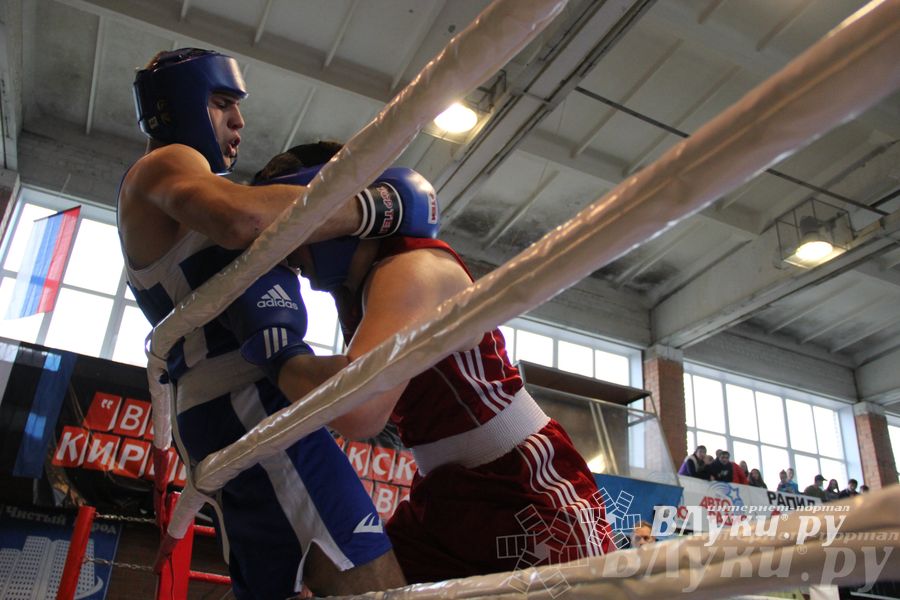 16-й Международный турнир по боксу (фото)