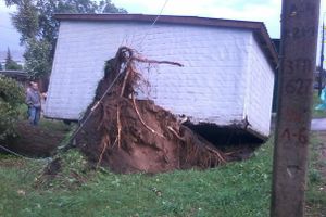 Ураган в Псковской области валил деревья и срывал крыши (ФОТО)