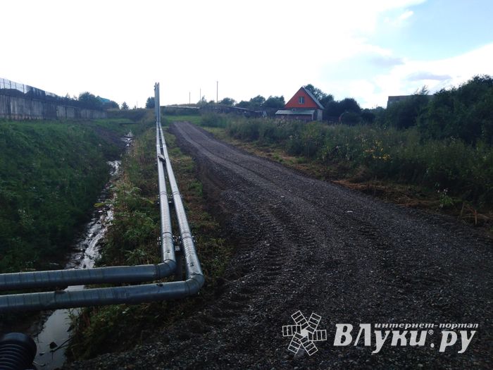 Великолукскую семью спасли из изоляции (ФОТО)