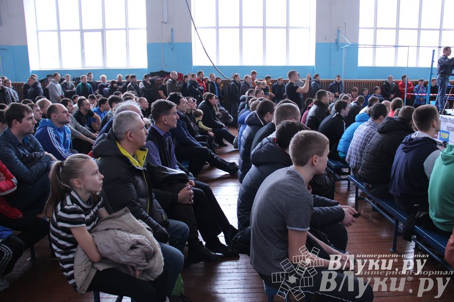 Открытый Кубок города Великие Луки по смешанному боевому единоборству (ММА)