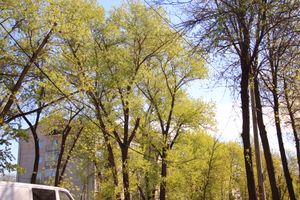 Авария устранена, движение по проспекту Гагарина возобновлено (ФОТО)