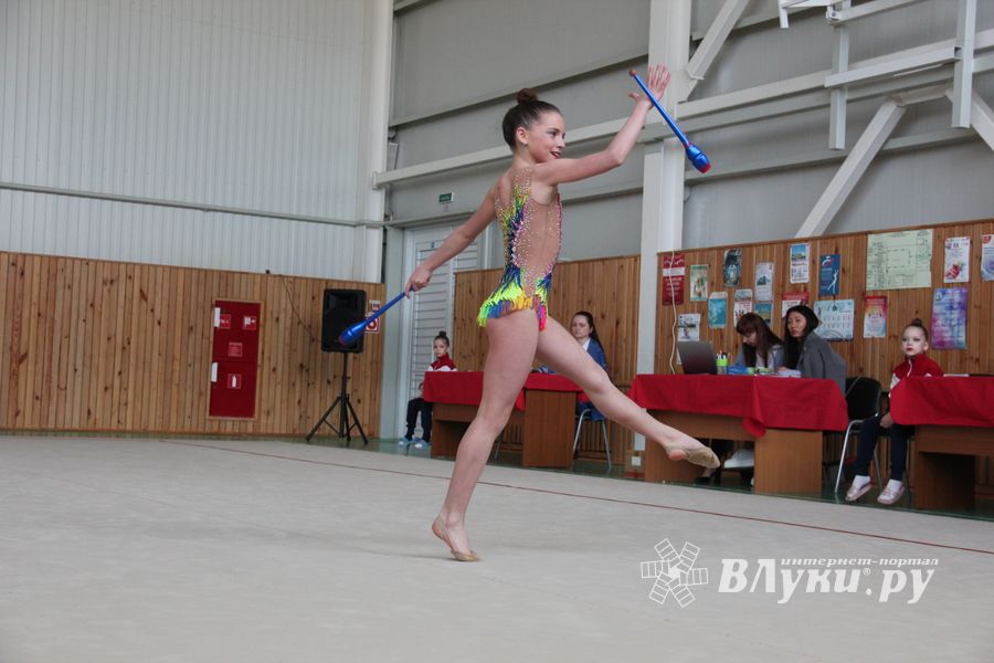 В Великих Луках прошли соревнования по по художественной гимнастике (ФОТО)