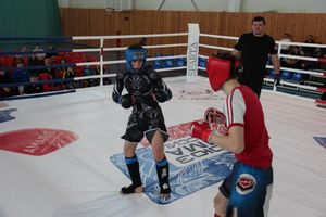 В Великих Луках проходит открытый кубок по смешанному боевому единоборству ММА (ФОТО) (12+)