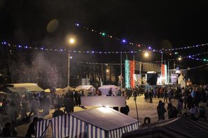 Открытие городской елки