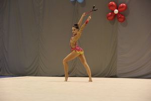 В Великих Луках прошли соревнования на Кубок Псковской области по художественной гимнастике (ФОТО)