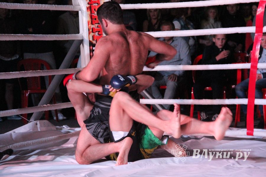 В Великих Луках прошли бои по смешанным боевым единоборствам ММА (фото)