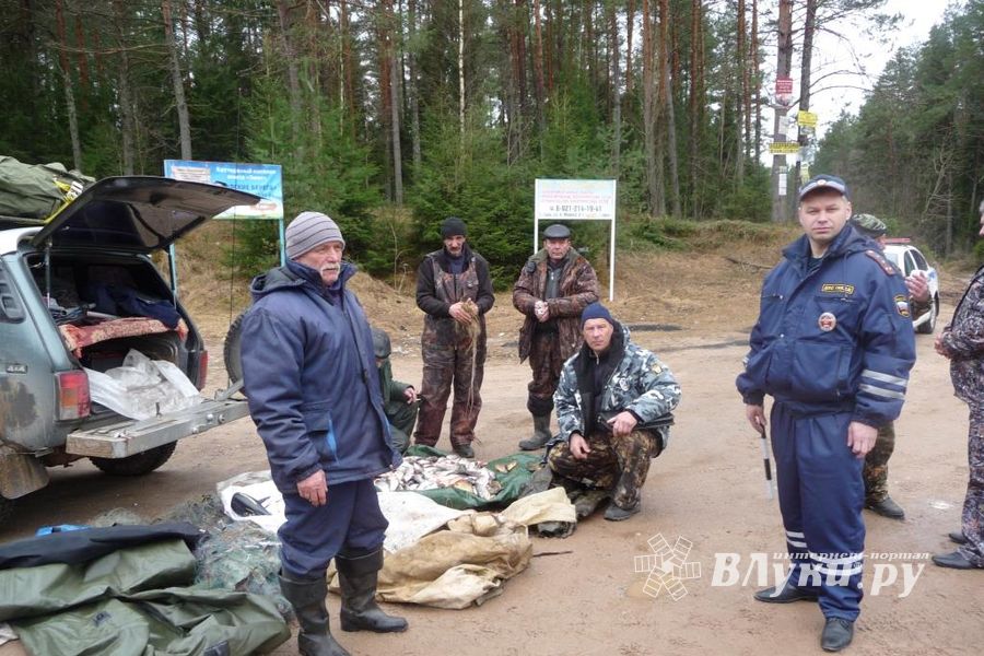 Сотрудники рыбоохраны задержали на трассе Псков – Гдов браконьеров из Ленинградской области (фото)