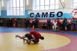 В Великих Луках прошел Чемпионат и Первенство области по самбо (фоторепортаж)