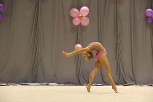 В Великих Луках завершился первый день соревнований Открытого Первенства города по художественной гимнастике (ФОТО) (0+))