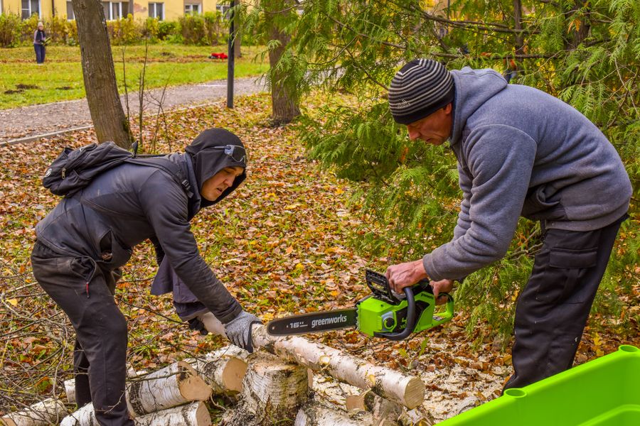 Фото: компания Greenworks