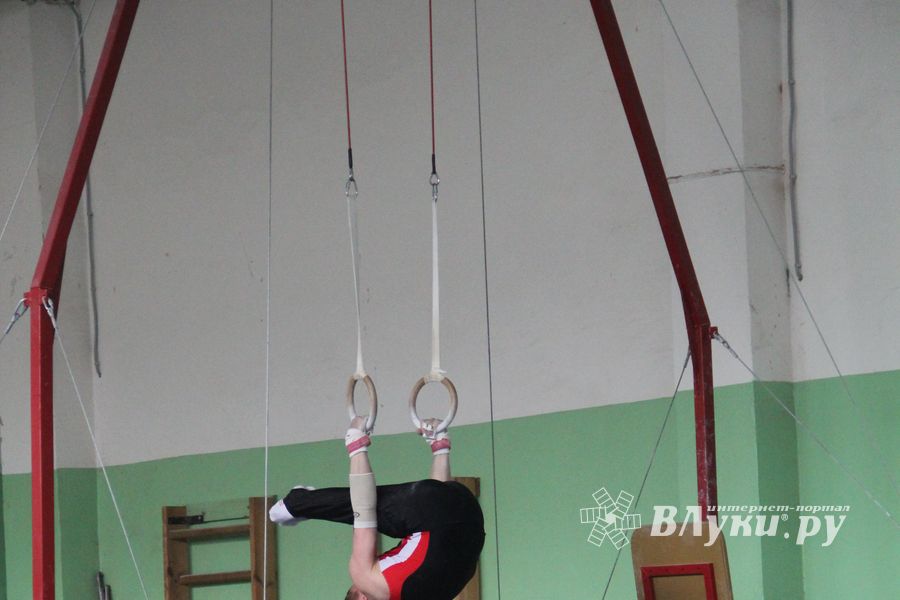 В Великих Луках прошел турнир по спортивной гимнастике (фото)