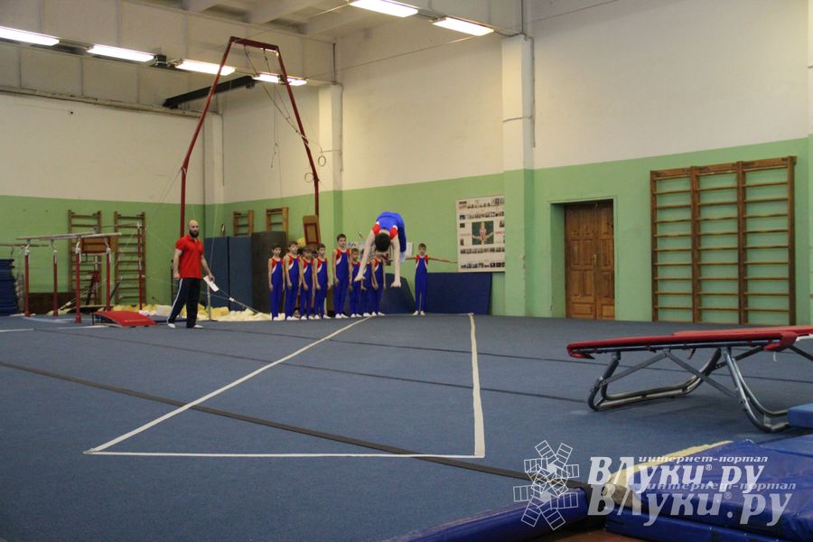 В Великих Луках состоялось Первенство по командной гимнастике (фото)
