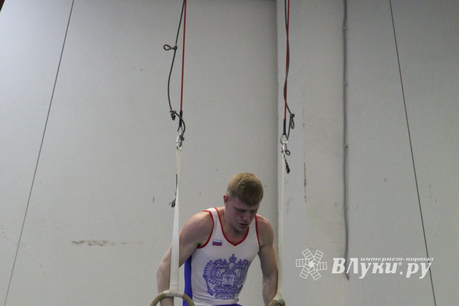 В Великих Луках прошло Первенство Области по спортивной гимнастики (фото)