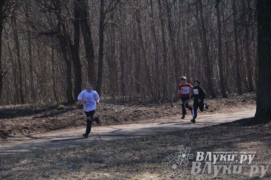 Весенний кросс