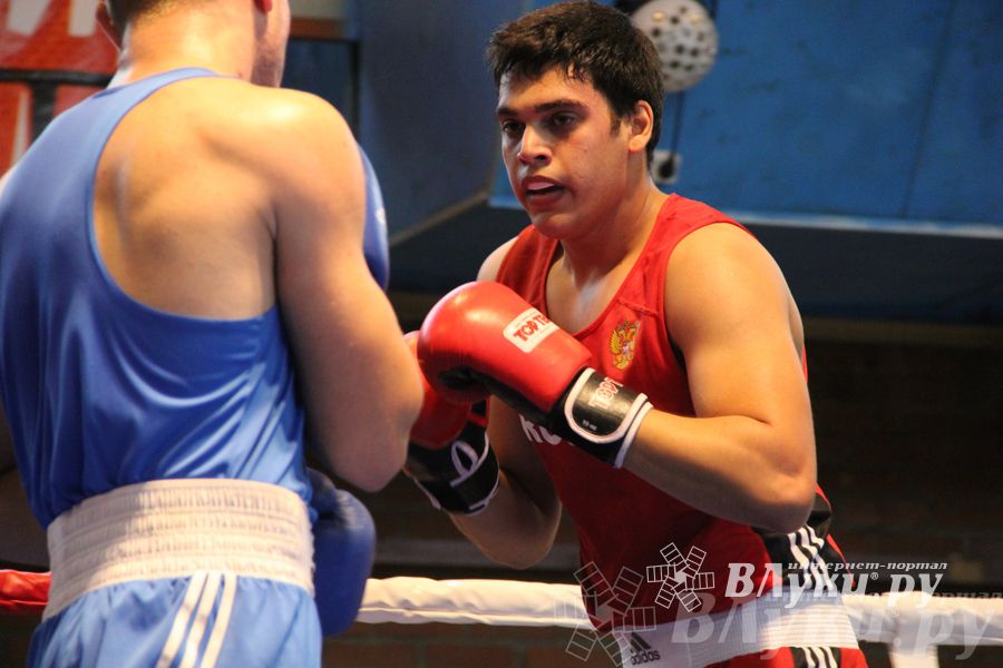 16-й Международный турнир по боксу (фото)