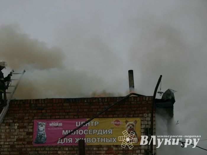 Неисправная печь в приюте для животных спровоцировала пожар