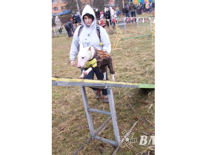 В Великих Луках сожгли Масленицу (фото)