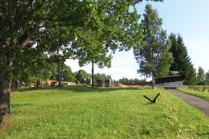 Неравнодушные великолучане: «Погибают» могилы солдат на «Ступинской высоте» (фото)