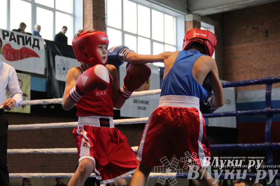 3-й день соревнований Международного турнира по боксу
