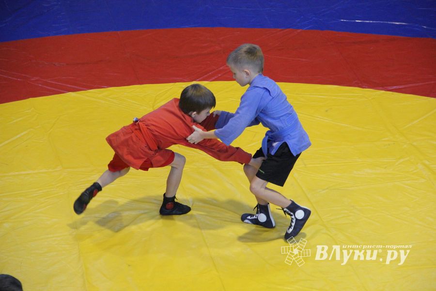 В Великих Луках прошел турнир по самбо "Память" (фото)