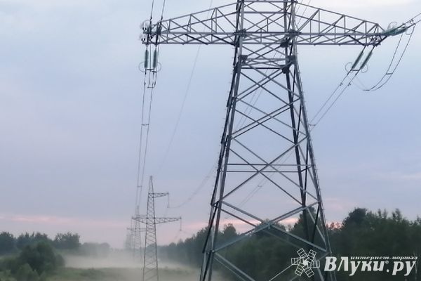 Из-за сильного ветра в Псковской области 230 населённых пунктов остаются без электричества