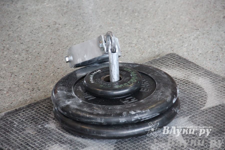 Первенство по русскому жиму штанги и силе хвата прошло в Великих Луках