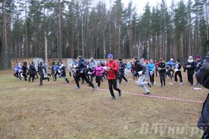 «Великолукский Марафон-2014» прошел в Сенчитском бору (фото)