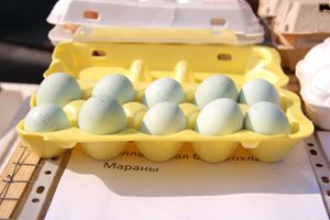 СТЦ «СтройСам» порадовал великолучан на универсальной ярмарке «Весна-2018» (ФОТО)