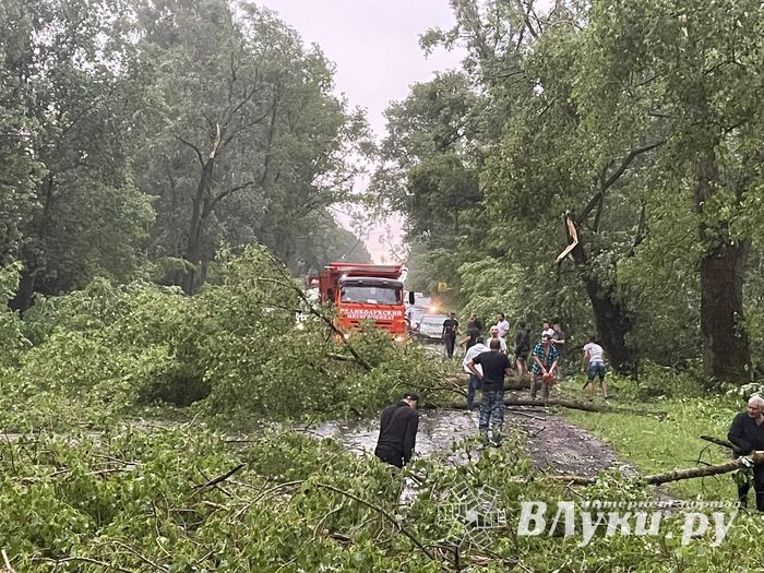 Весь ужас вчерашнего урагана в Великих Луках и районе (ФОТО, ВИДЕО)
