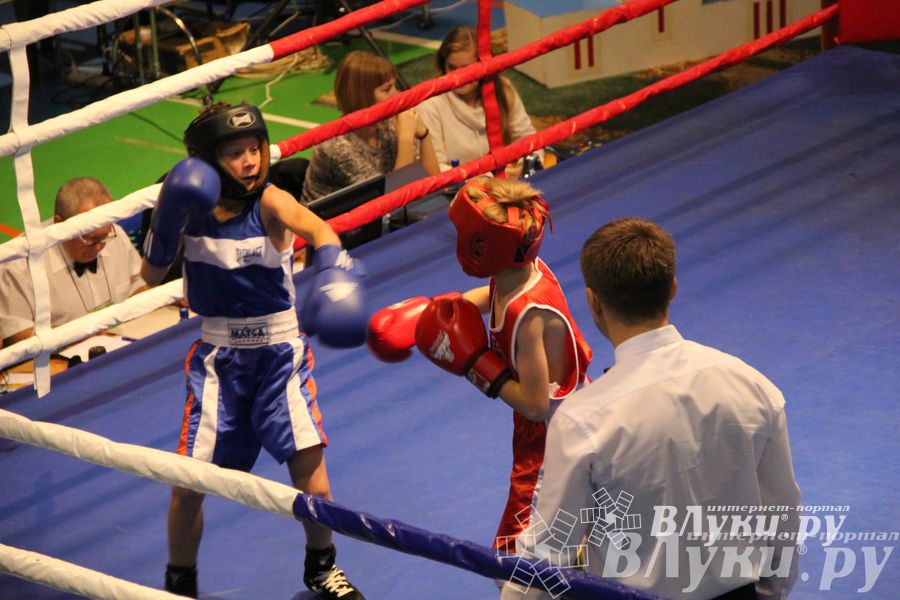 Открытие 16-го  Международного турнира по боксу