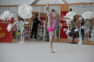 гимнастика