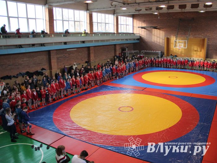 Великолучане завоевали награды турнира по самбо «Память» (ФОТО)