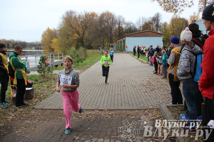 Легкоатлетический осенний кросс прошел в Великих Луках (фото)