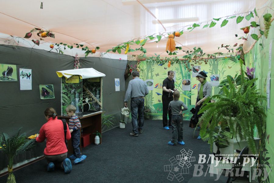 Обзор выставок Краеведческого музея