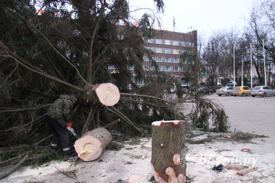 Необычное украшение сняли с главной ёлки Великих Лук (ФОТО)