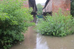 Выявлен самый затопленный двор в Великих Луках (ФОТО)