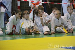 Великолучане стали победителями турнира по каратэ «Неприкосновенный запас, дети — Отчизны 2015» (фото)