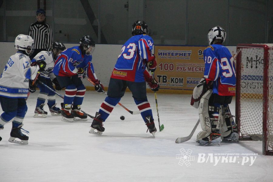 В Великих Луках прошел детский Открытый турнир по хоккею (ФОТО)