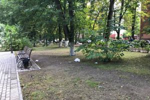 Парк Пушкина: «... А вкруг меня глухое запустенье...» (ФОТО)