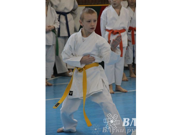 В Великих Луках прошел Открытый чемпионат Псковской области по каратэ