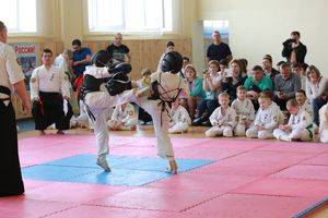 В Великих Луках прошло ​первенство города по ВБЕ «Кобудо» (ФОТО)